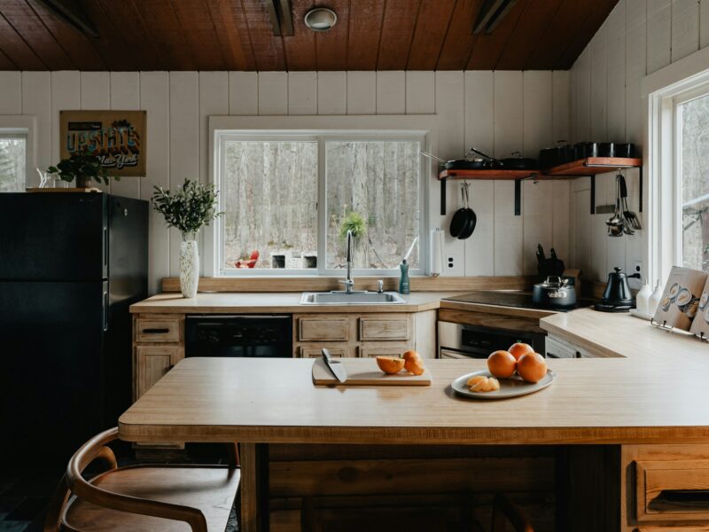 Cabin kitchen and interior