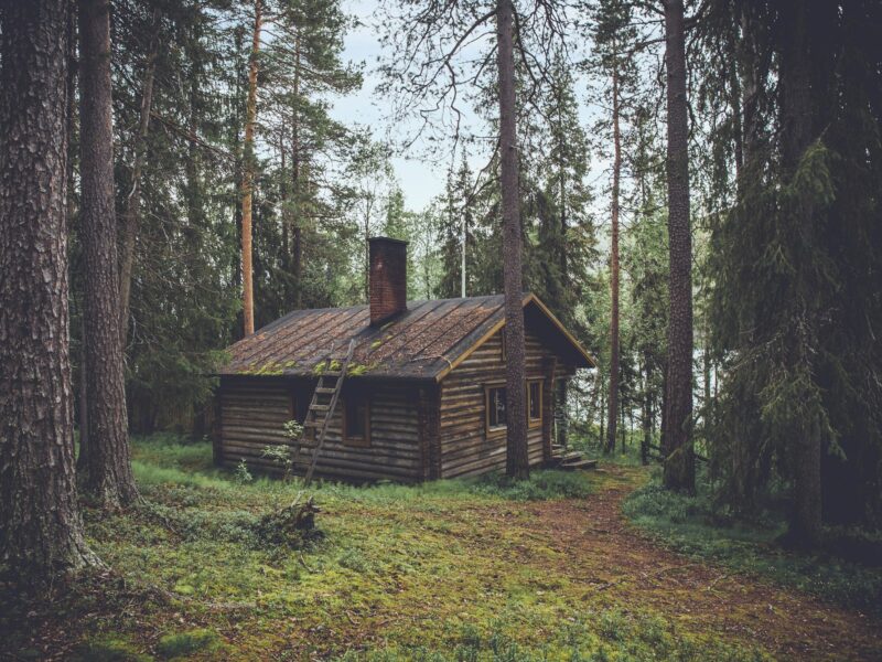 Cabin in the woods