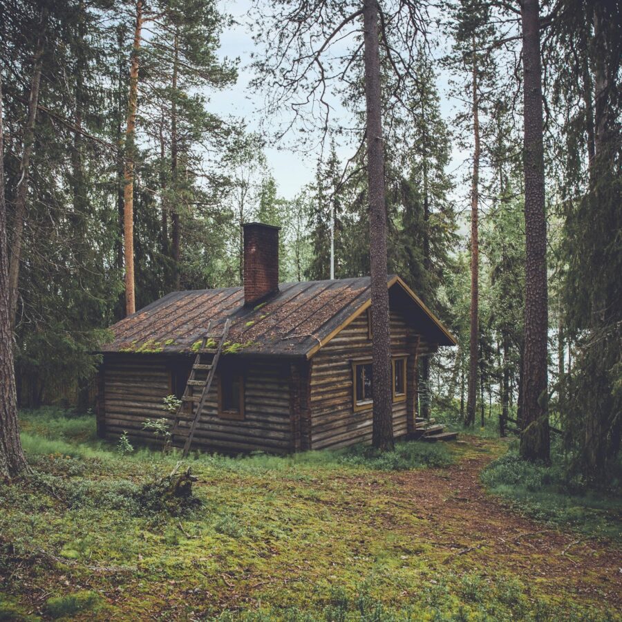 Cabin in the woods