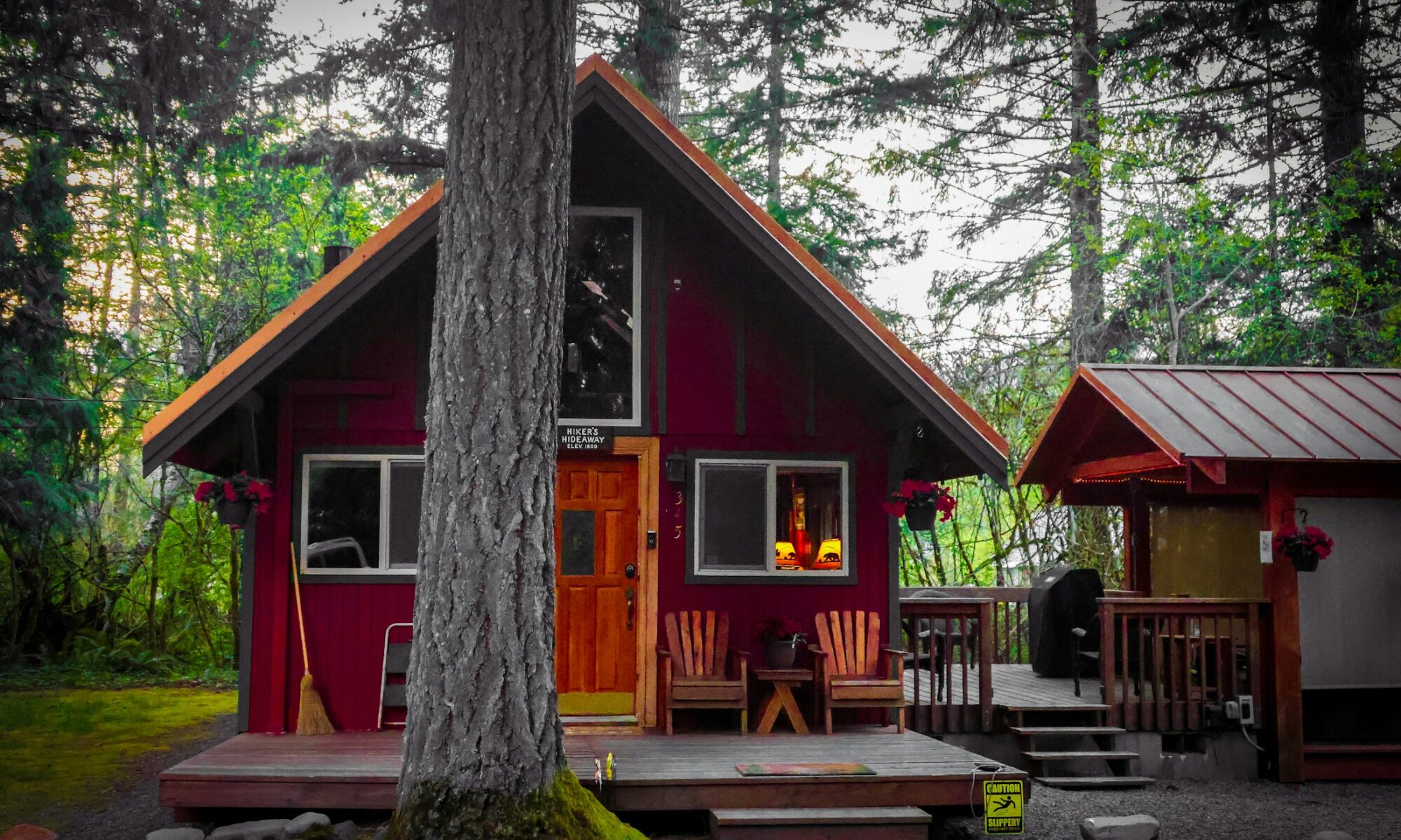 Cabin in the woods