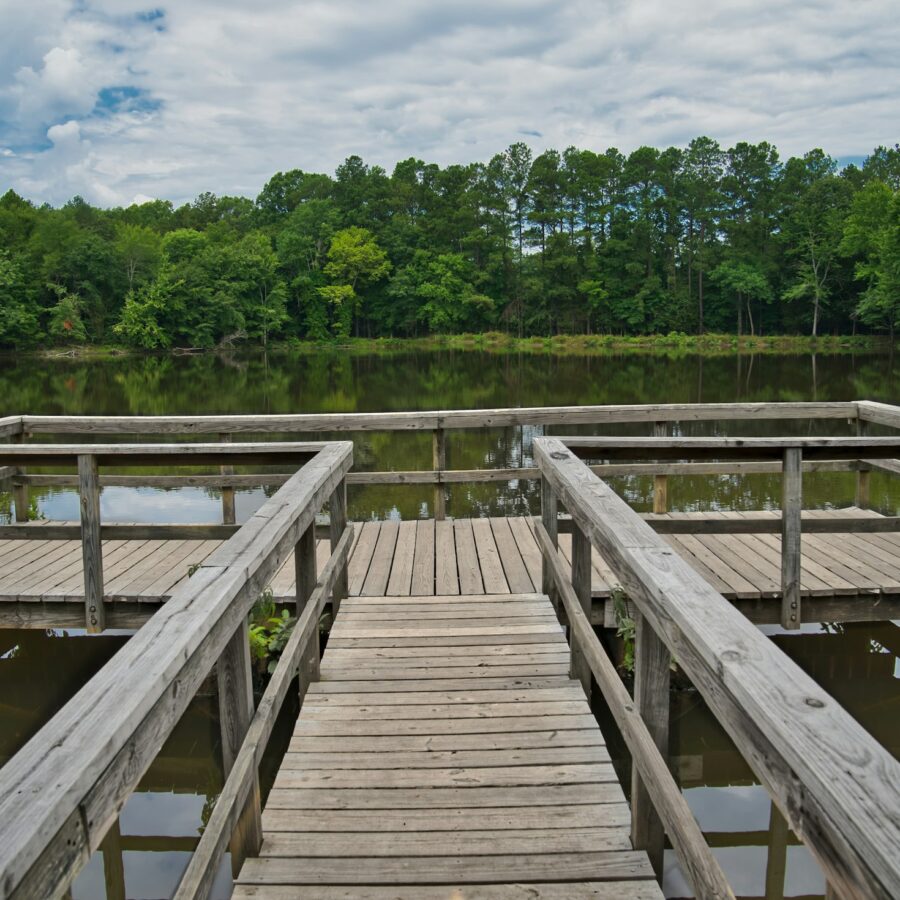 Dock on the fishing pond