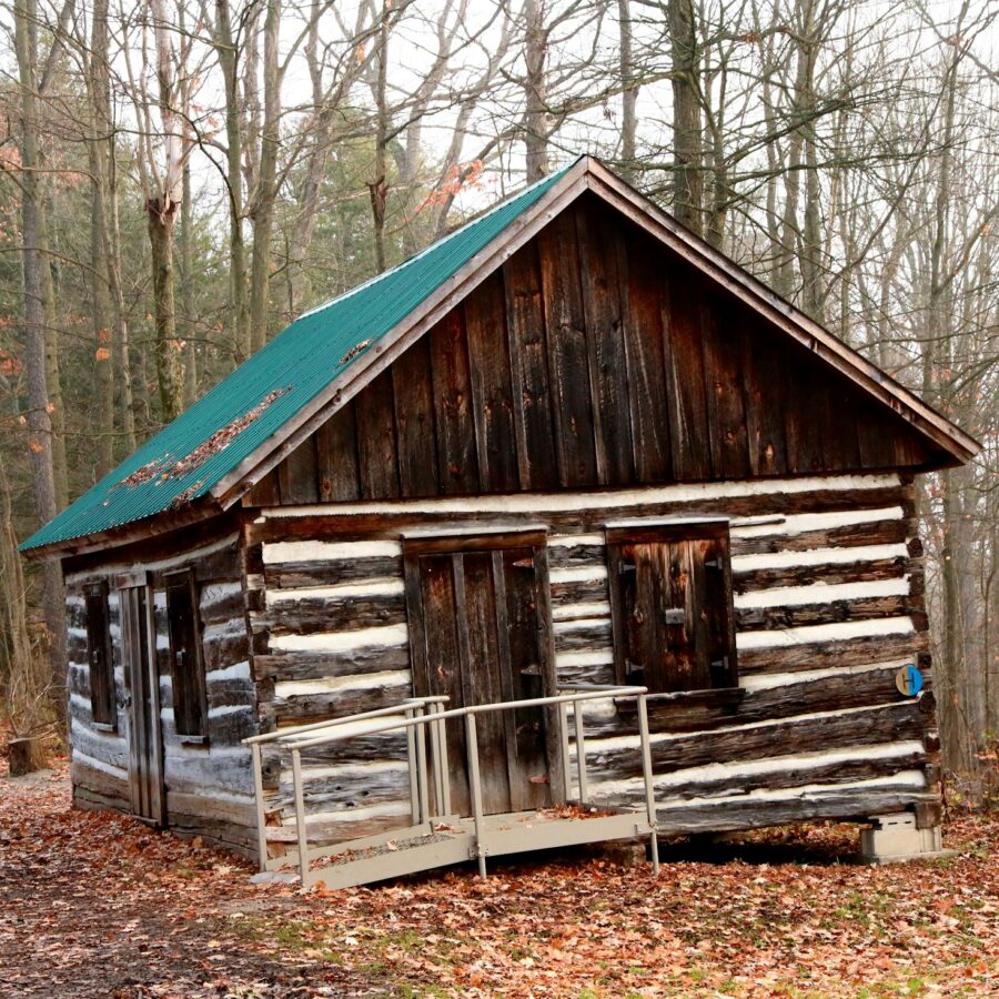 Log cabin in the woods